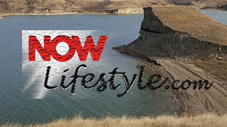 Now Lifestyle gives you the option to live life on your terms and carry on your daily life with an added energy and excitement. Don’t sweat your bank account because this is an easy fix. It only takes a dollar to assess the program and decide if it is a fit for you. Otherwise, you can walk away with nothing to lose and nothing to gain. It’s simply your choice with no pressure and no hidden fees. Anyways, hope that you make a decision to improve your health and well being today.